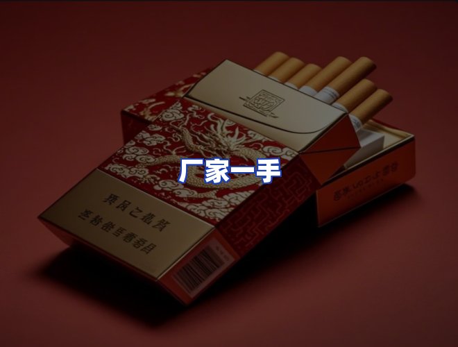 专业团队